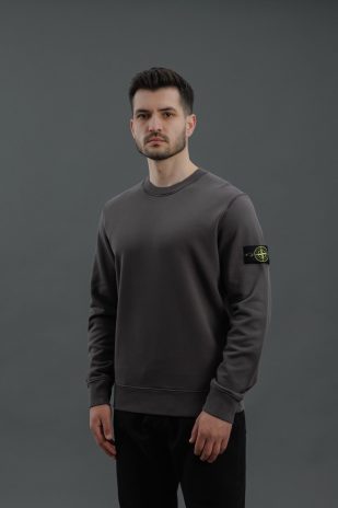 Чоловічий світшот STONE ISLAND 156100060-S0051 V0065, колір сірий