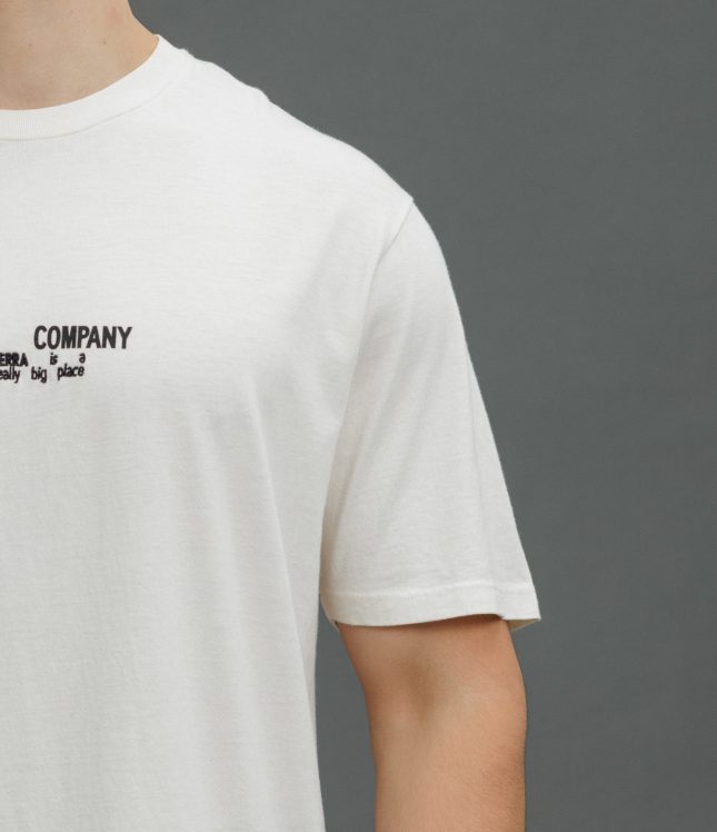 Чоловіча футболка C.P. COMPANY CMTS317A 005431G COL:115, колір бежевий | Ціна 7499 грн, фото 4