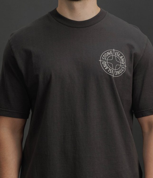 Чоловіча футболка STONE ISLAND 152100001-S0284 V0065, колір сірий | Ціна 12499 грн, фото 3