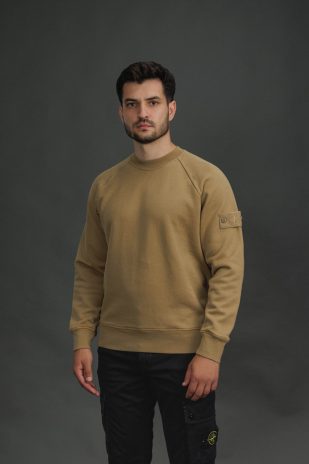 Чоловічий світшот STONE ISLAND 156100028-S0F42 V0098, колір коричневий